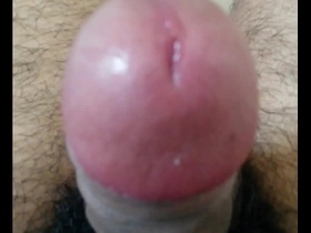 Horny gay gets his cock sucked by an Asian stud